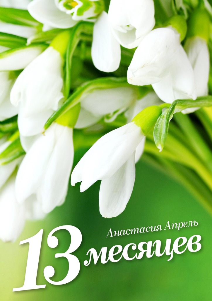 13 месяцев