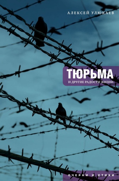 Тюрьма и другие радости жизни. Очерки и стихи