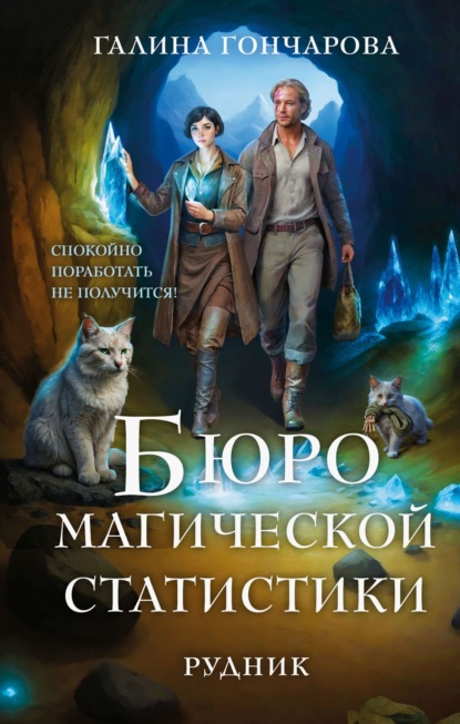 Бюро магической статистики. Рудник
