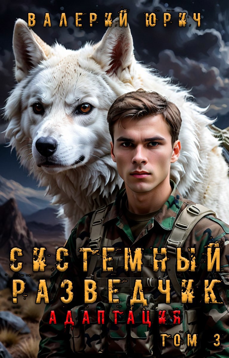 Системный разведчик. Адаптация. Том 3