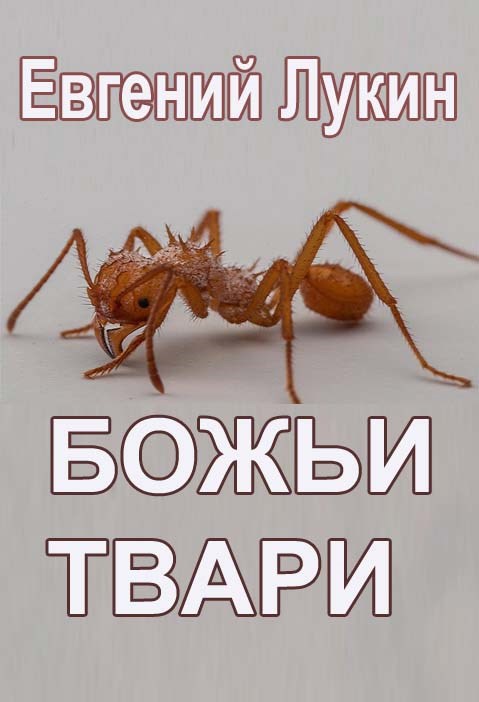 Божьи твари