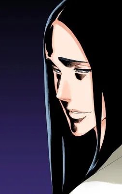 Система развития(Bleach)(Том 3)