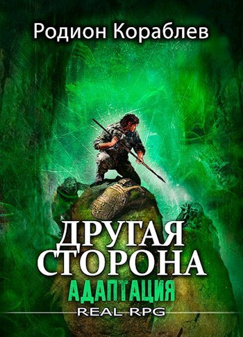 Адаптация (СИ)