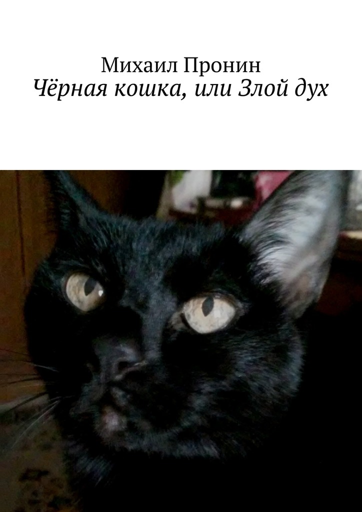 Чёрная кошка, или Злой&nbsp;дух