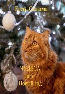 Чудеса под Новый год (СИ)