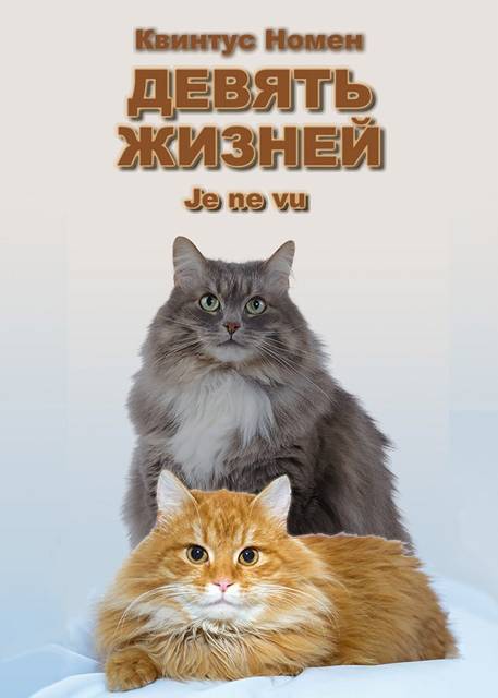 Девять жизней Je ne vu