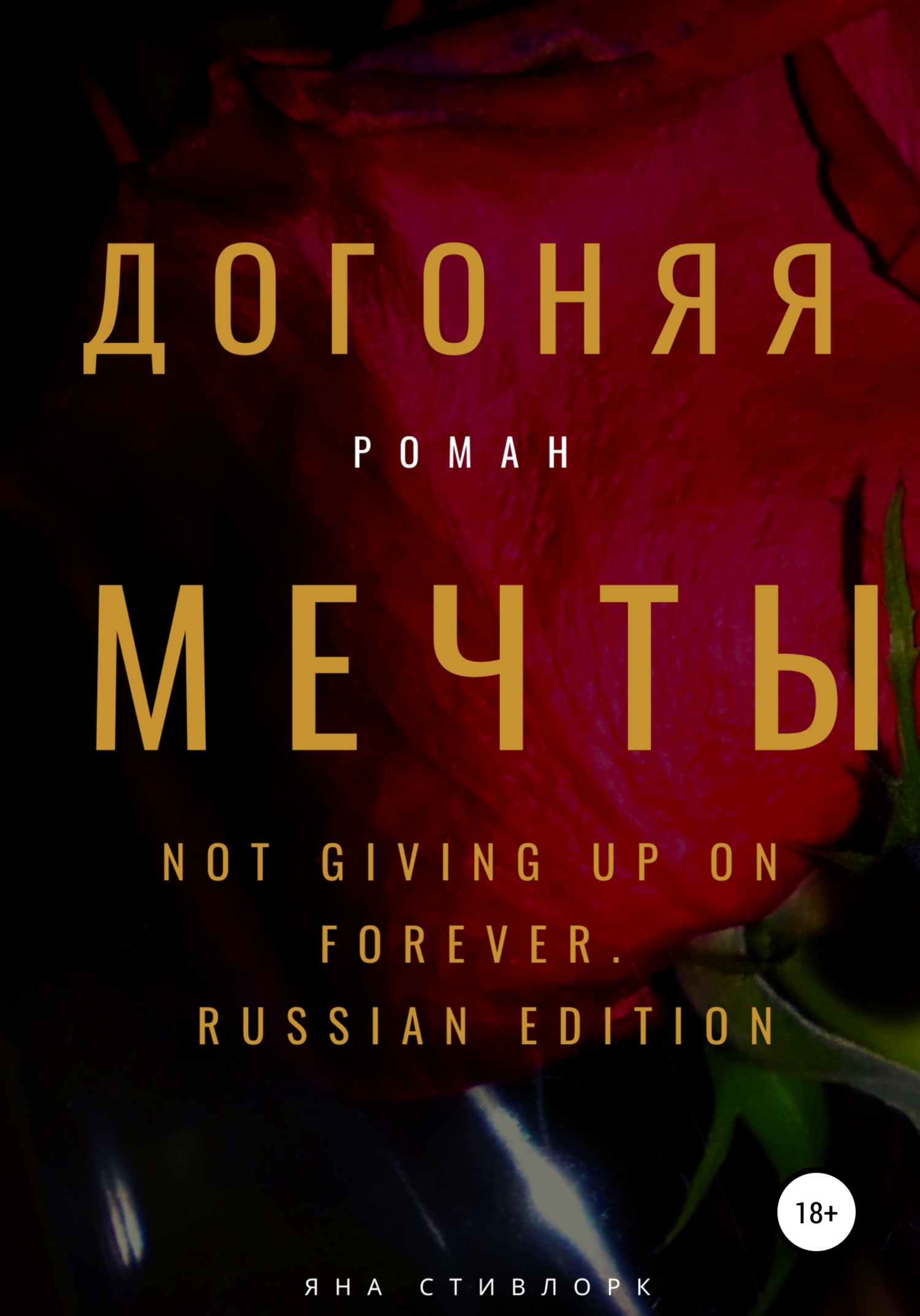 Догоняя мечты