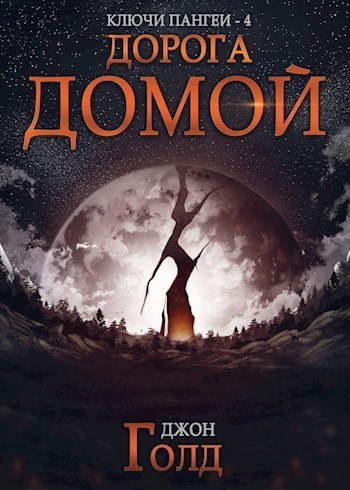 Дорога домой (СИ)