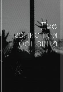 Две канистры бензина (СИ)
