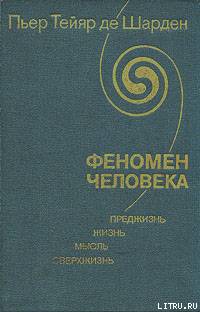 Феномен человека
