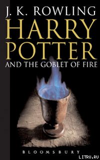 Гарри Поттер и Кубок Огня(Potter's Army)
