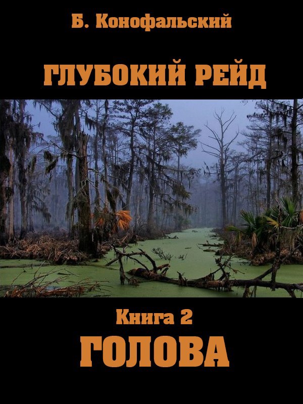Глубокий рейд книга 2 ГОЛОВА