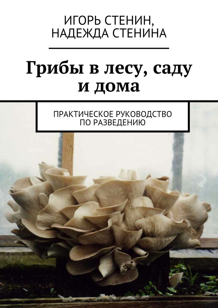 Грибы в&nbsp;лесу, саду и&nbsp;дома