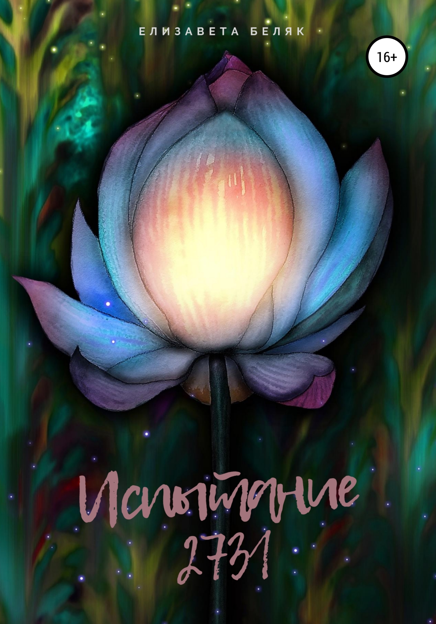 Испытание 2731