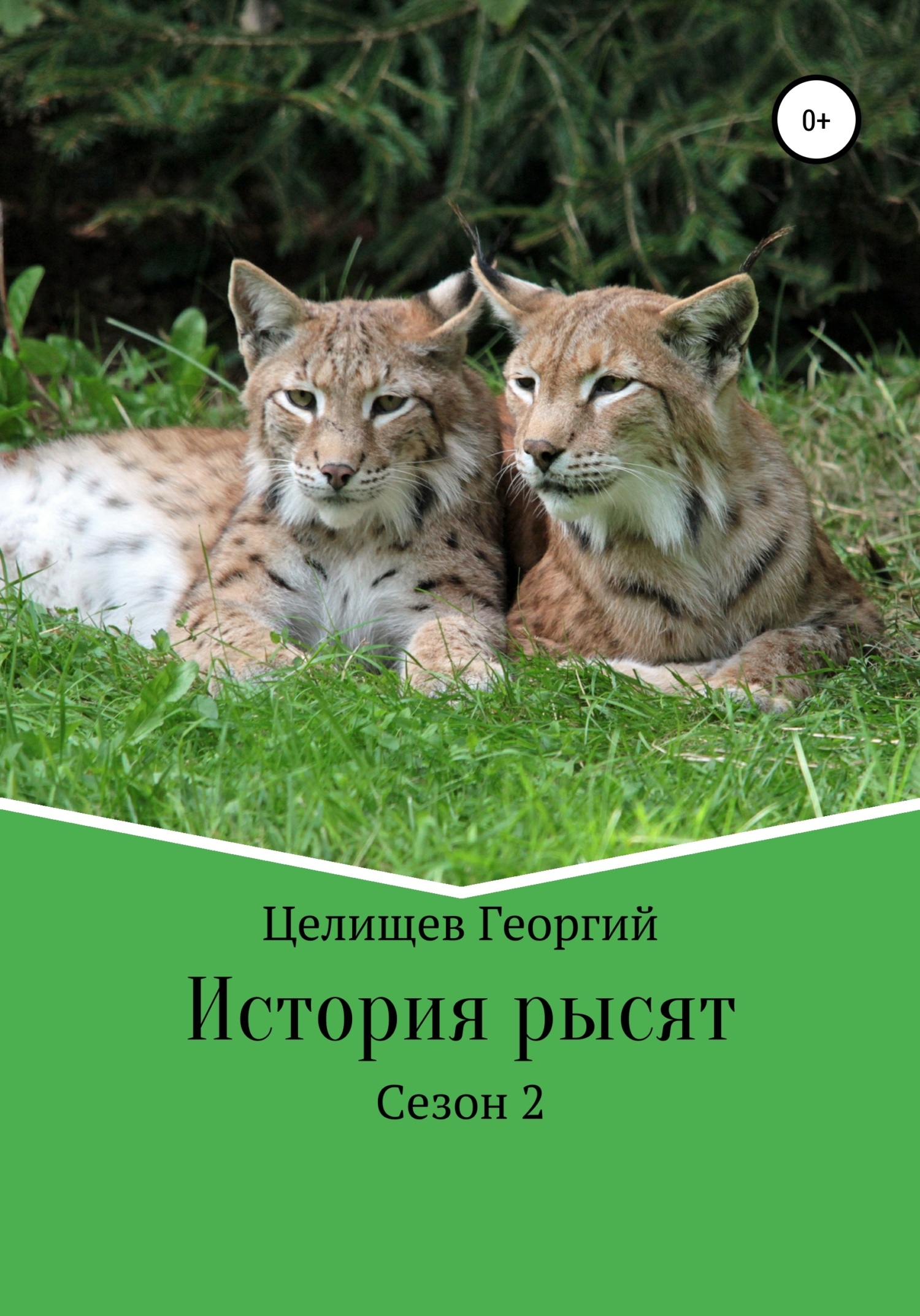 История рысят. 2&nbsp;сезон
