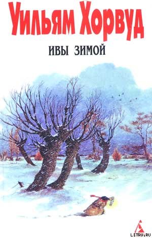 Ивы зимой