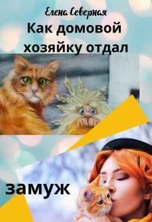 Как домовой хозяйку отдал замуж (СИ)