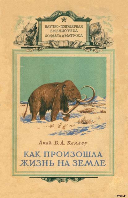 Как произошла жизнь на земле