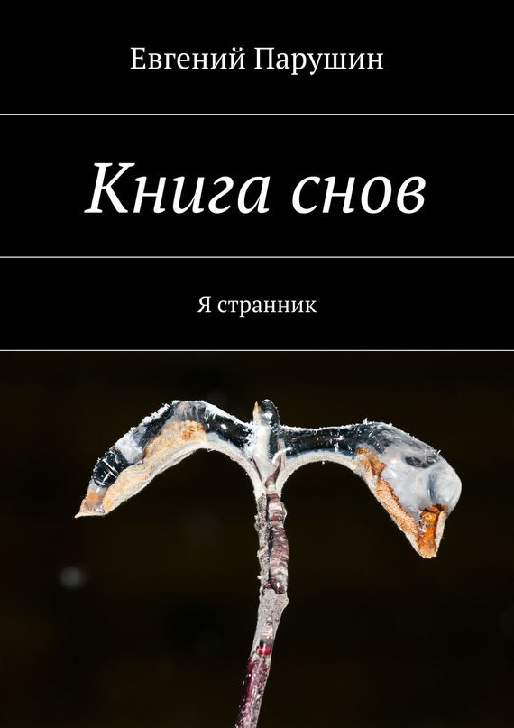 Книга&nbsp;снов