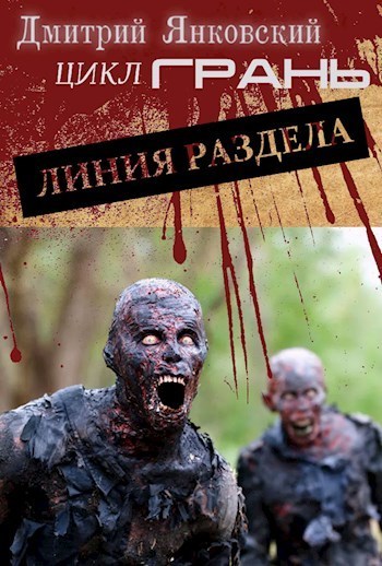 Линия раздела (СИ)