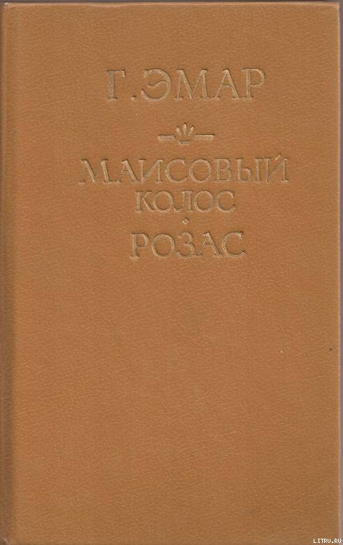 Маисовый колос
