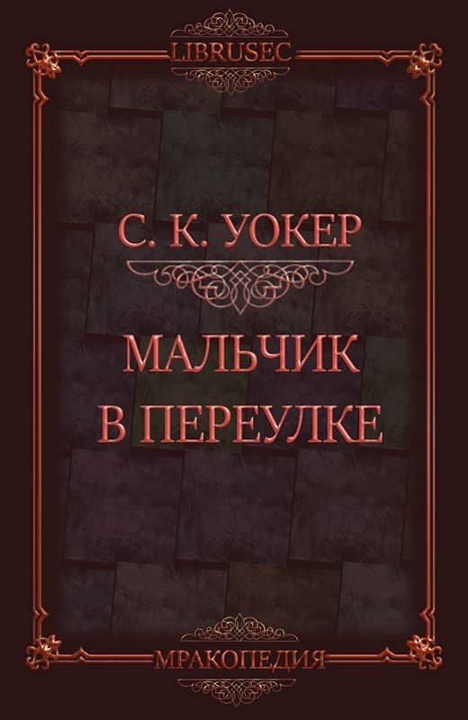 Мальчик в переулке (ЛП)