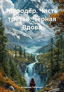 Мародер. Часть третья. Черная Вдова