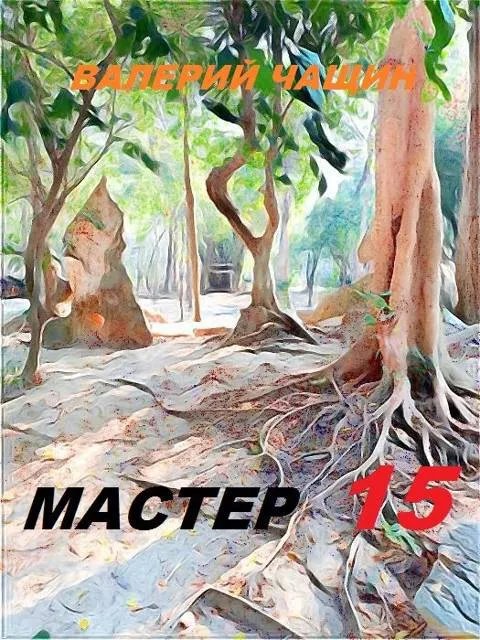 Мастер 15