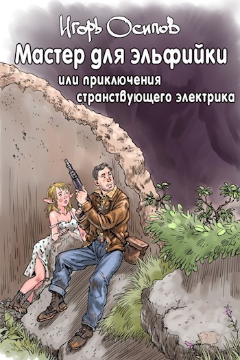 Мастер для эльфийки, или приключения странствующего электрика (СИ)
