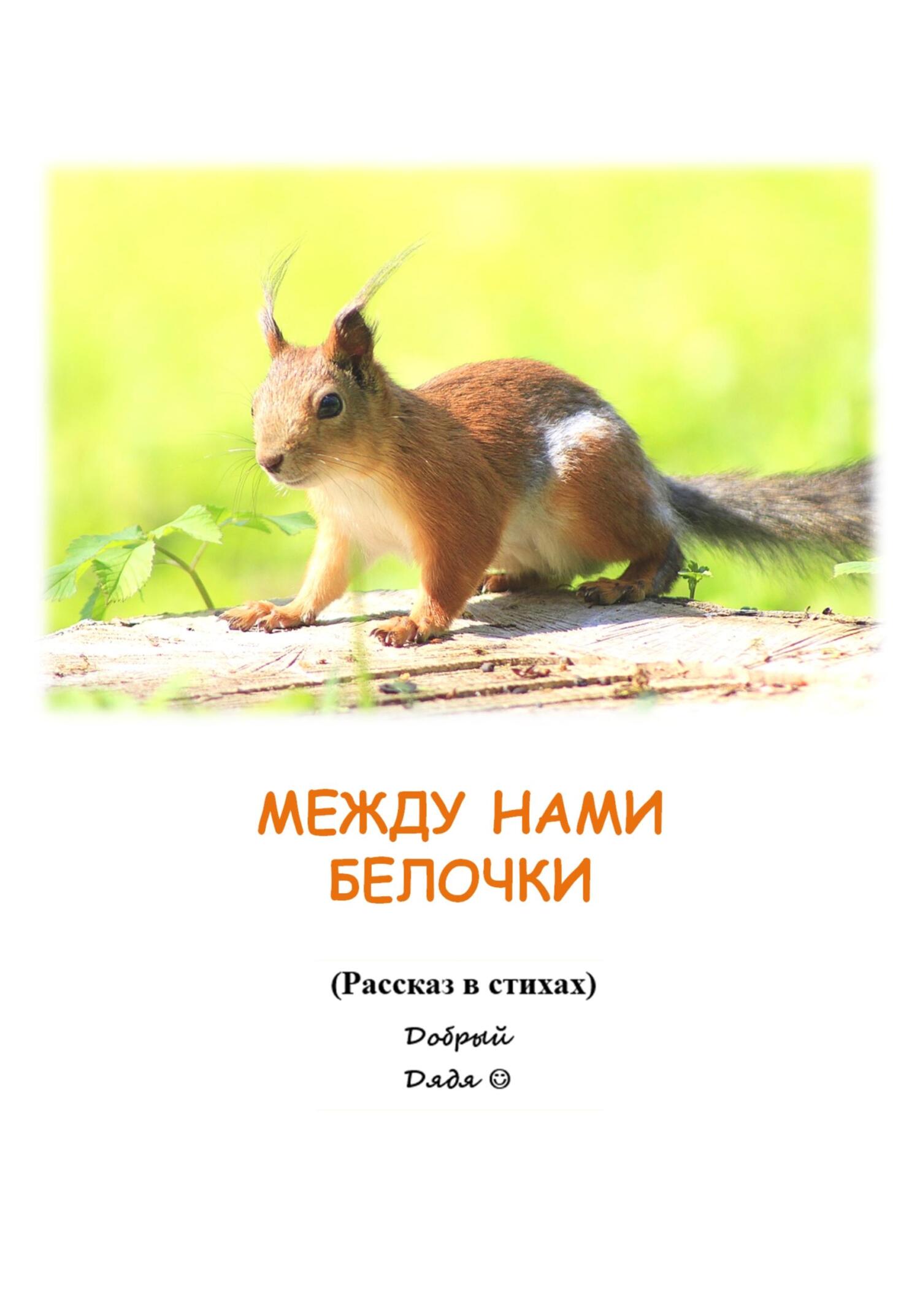 Между нами белочки