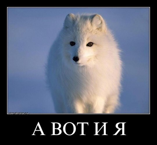 Мир новый проблемы старые. И главная - выжить (СИ)