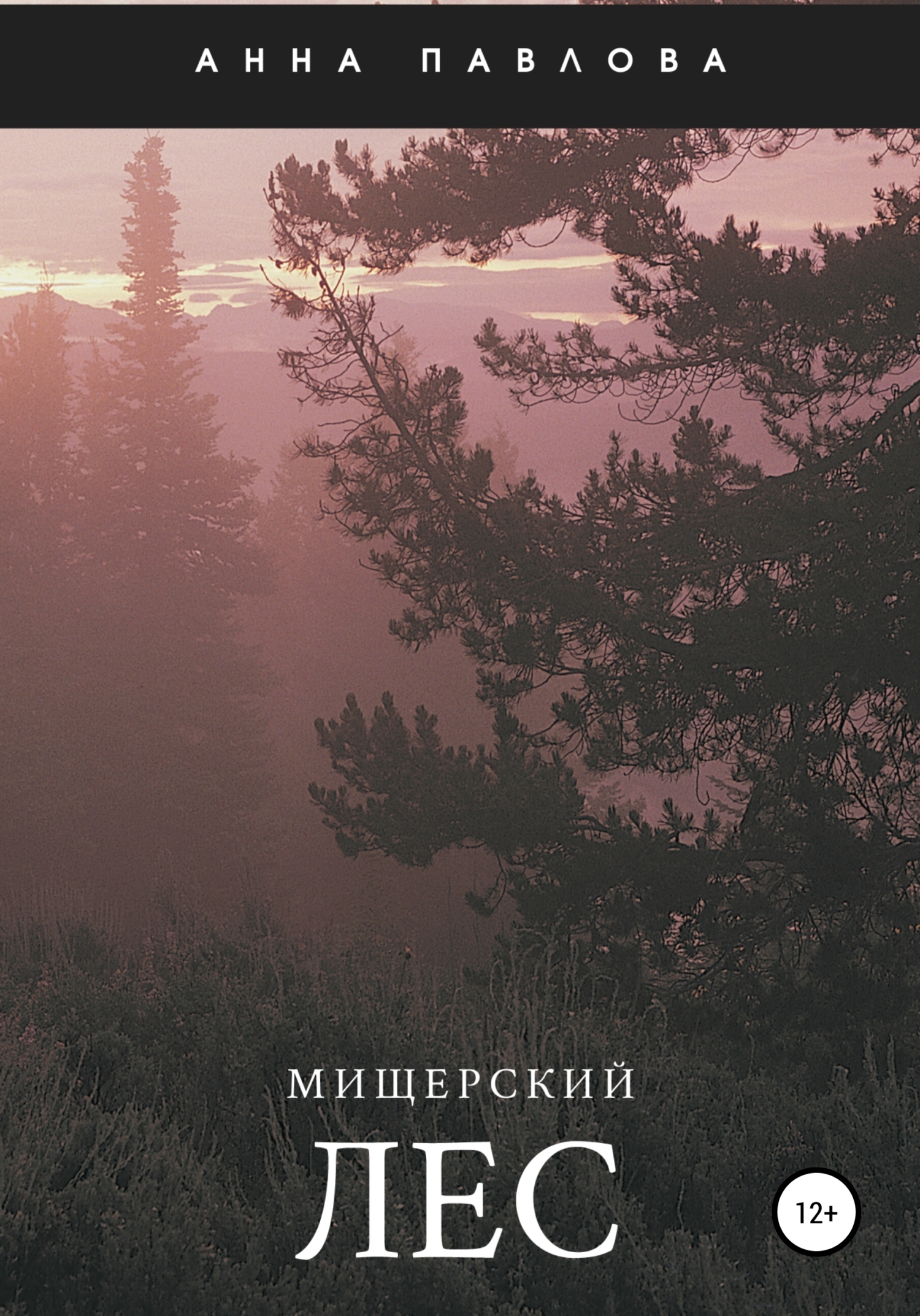 Мищерский лес