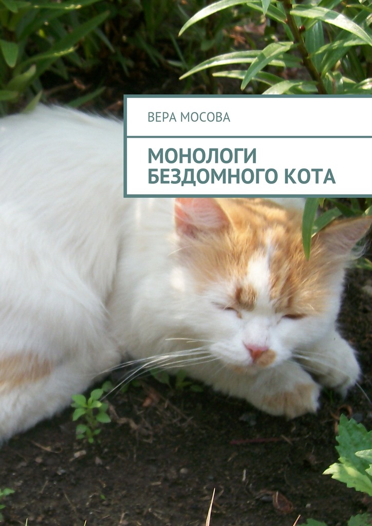 Монологи бездомного&nbsp;кота