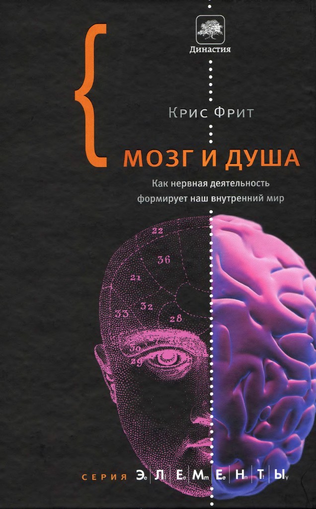 Мозг и душа: как нервная деятельность формирует наш внутренний мир