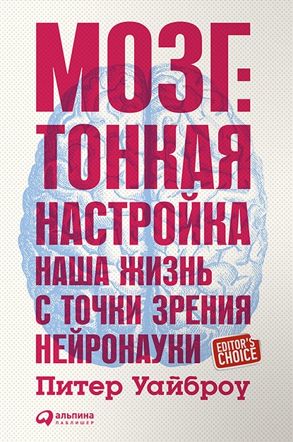Мозг Тонкая настройка. Наша жизнь с точки зрения нейронауки