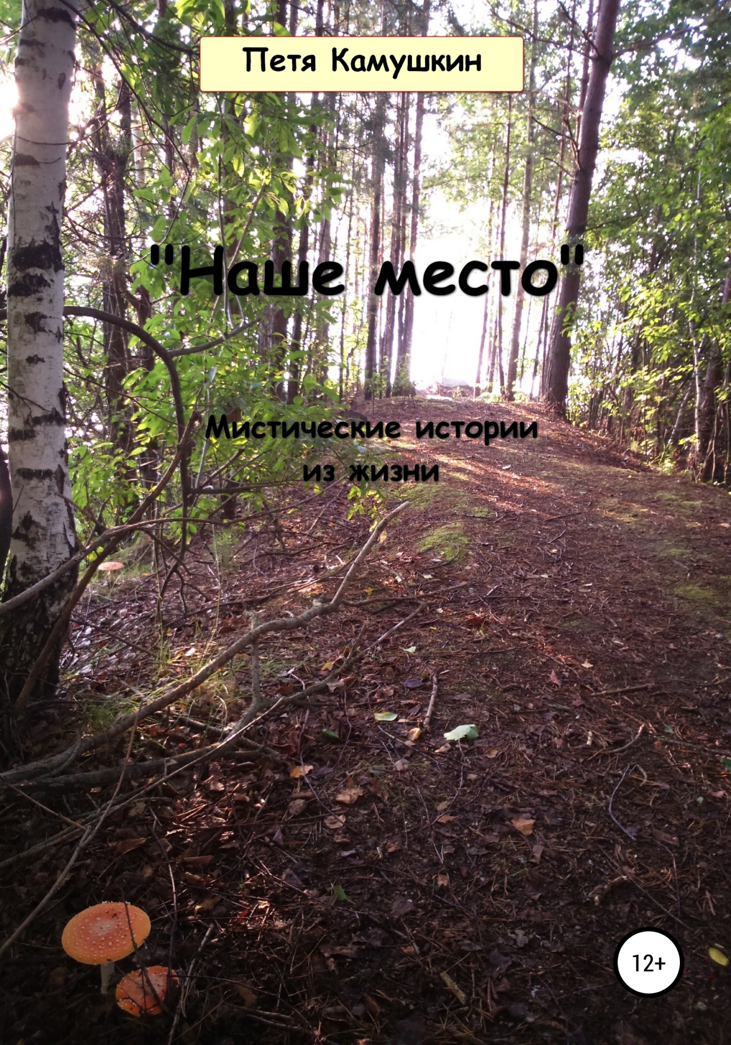 Наше место