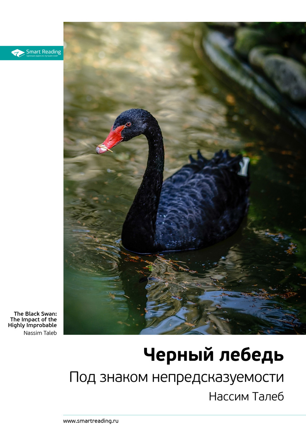 Нассим Талеб: Черный лебедь. Под знаком непредсказуемости. Саммари