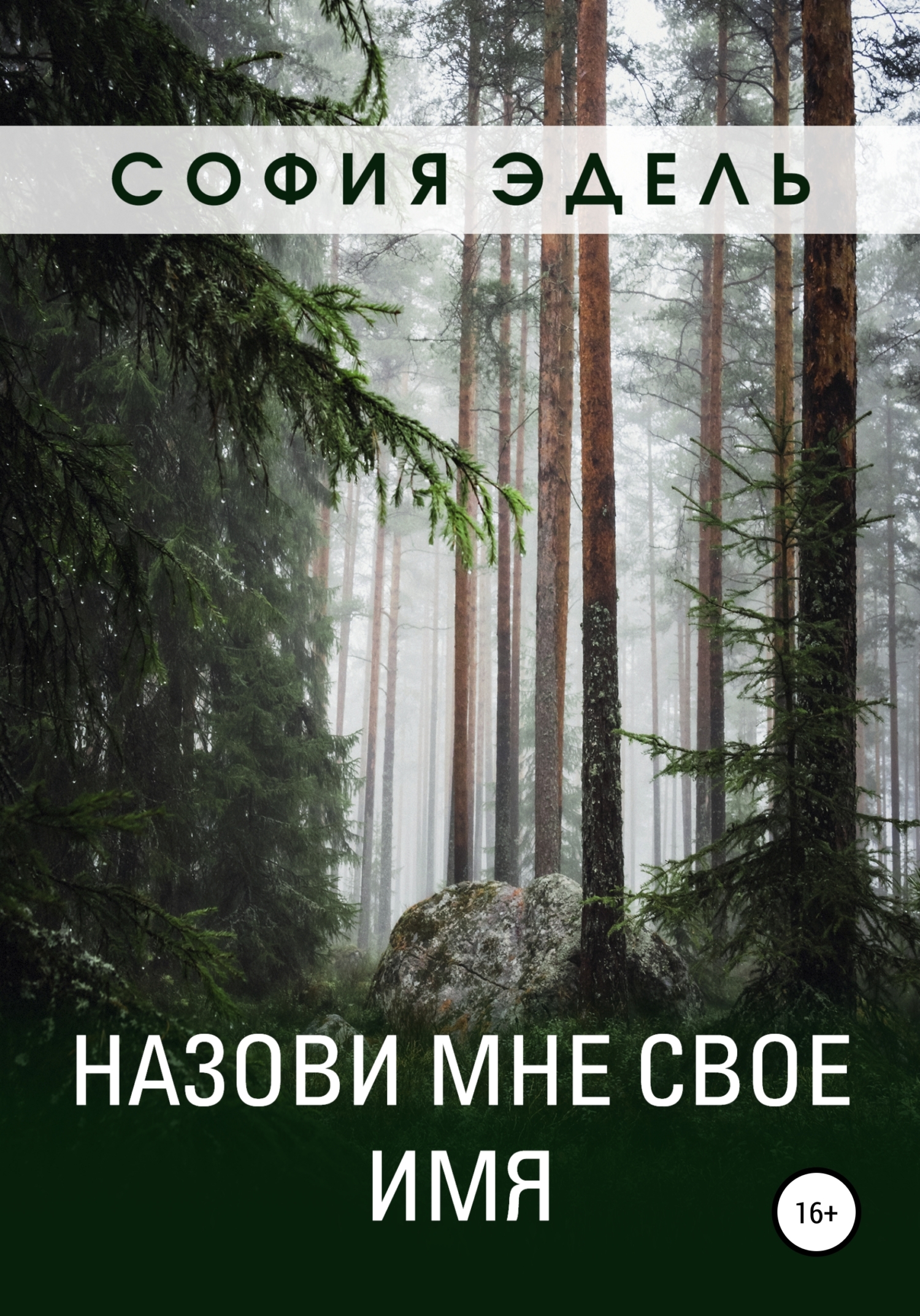 Назови мне свое имя