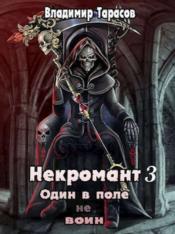 Некромант. Книга третья. Жизнь (СИ)