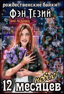 Новые двенадцать месяцев (СИ)
