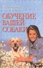Обучение вашей собаки
