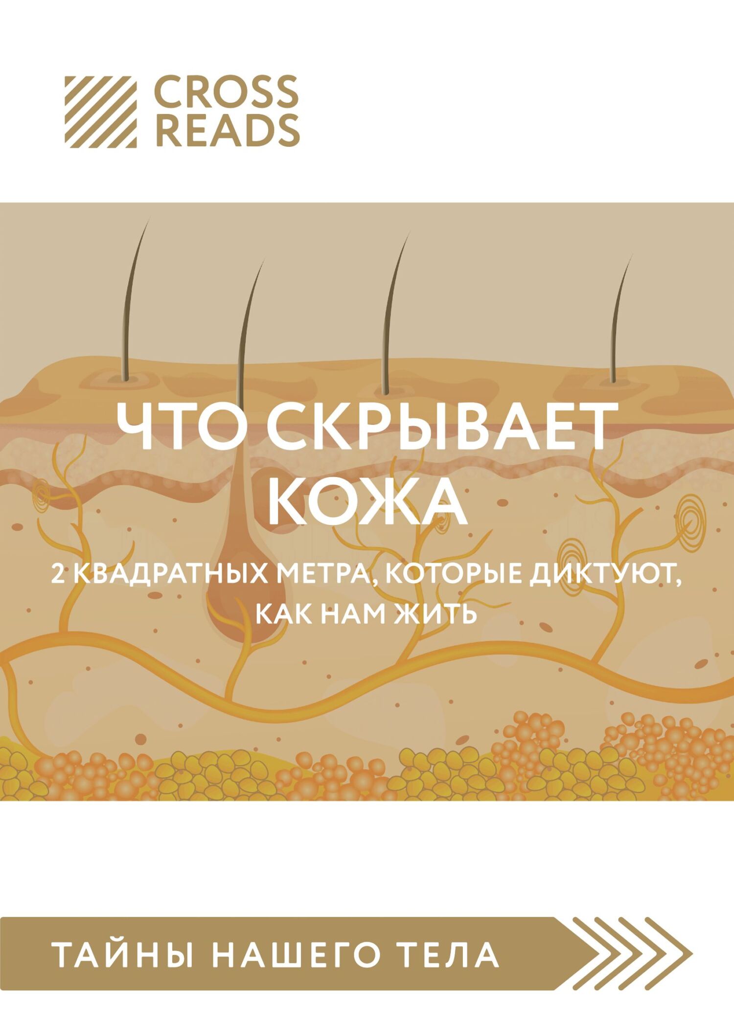 Обзор на книгу Йаэль Адлер «Что скрывает кожа. 2&nbsp;квадратных метра, которые диктуют, как нам жить»