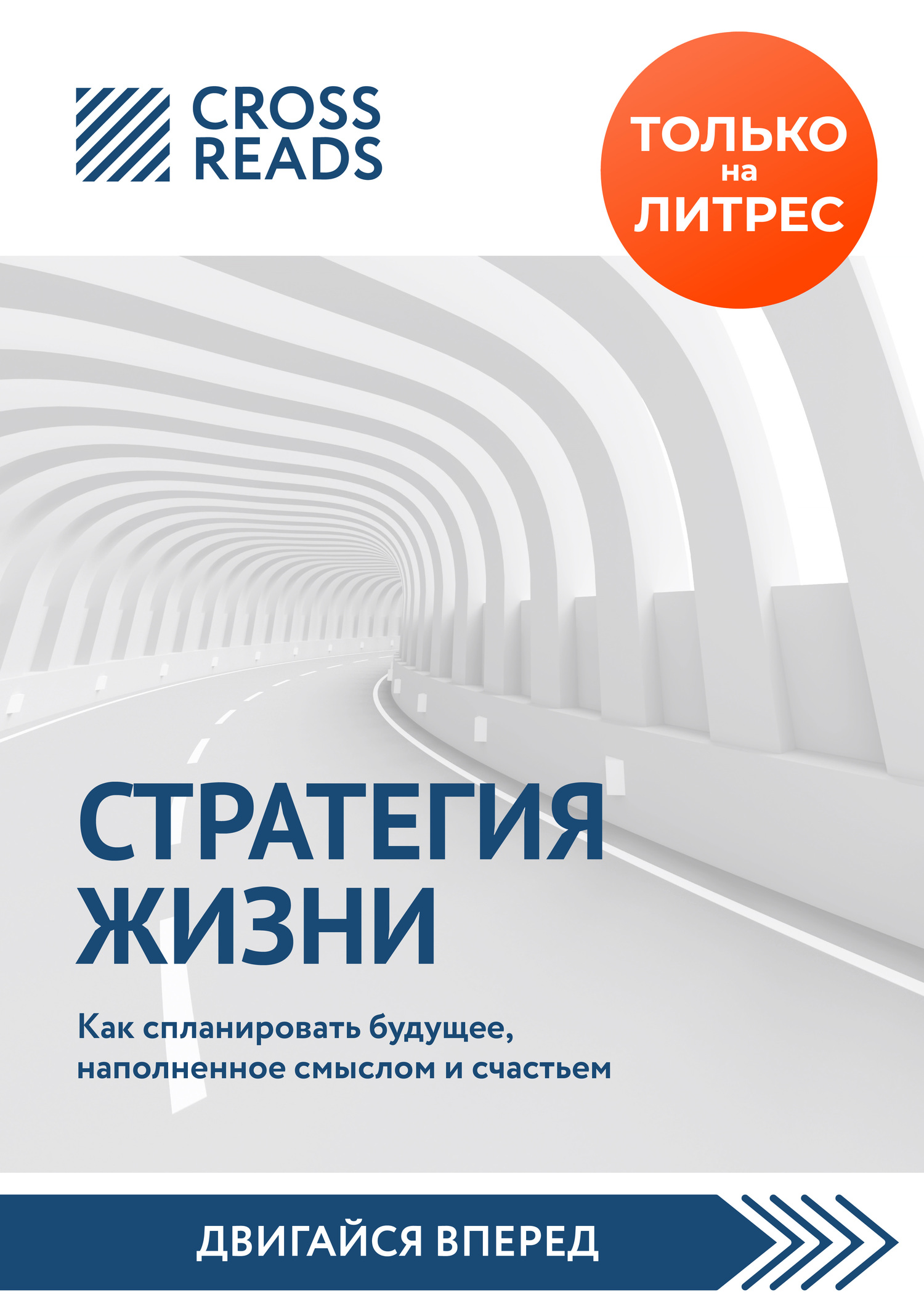 Обзор на книгу Святослава Бирюлина «Стратегия жизни. Как спланировать будущее, наполненное смыслом и счастьем»