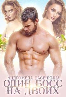 Один босс на двоих (СИ)