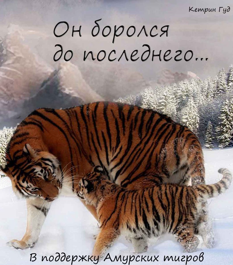 Он боролся до последнего (СИ)