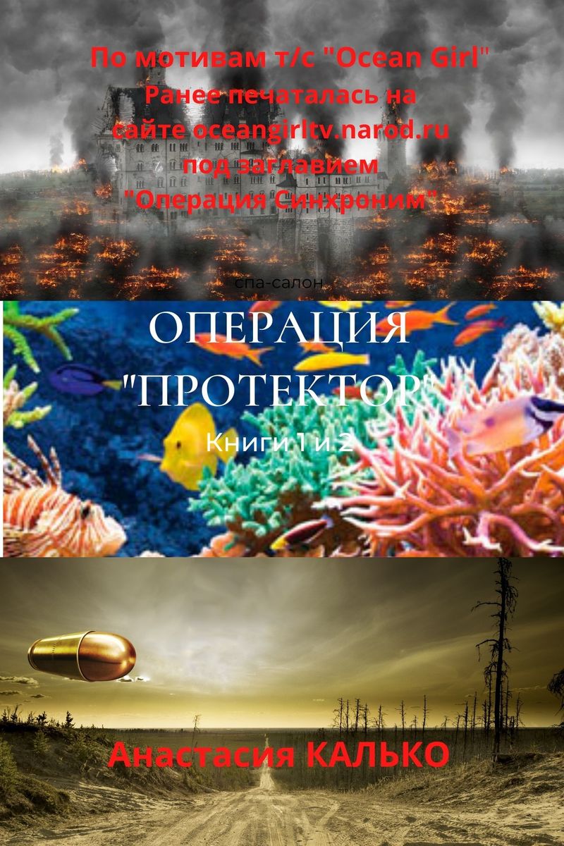 Операция "Протектор"
