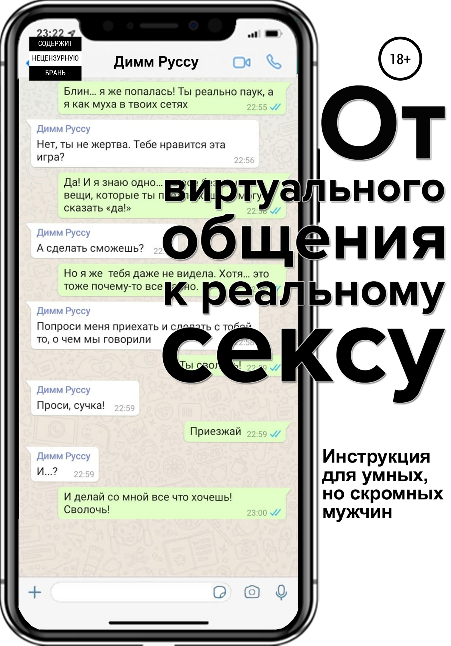 От виртуального общения к реальному сексу. Руководство по бесконтактному соблазнению