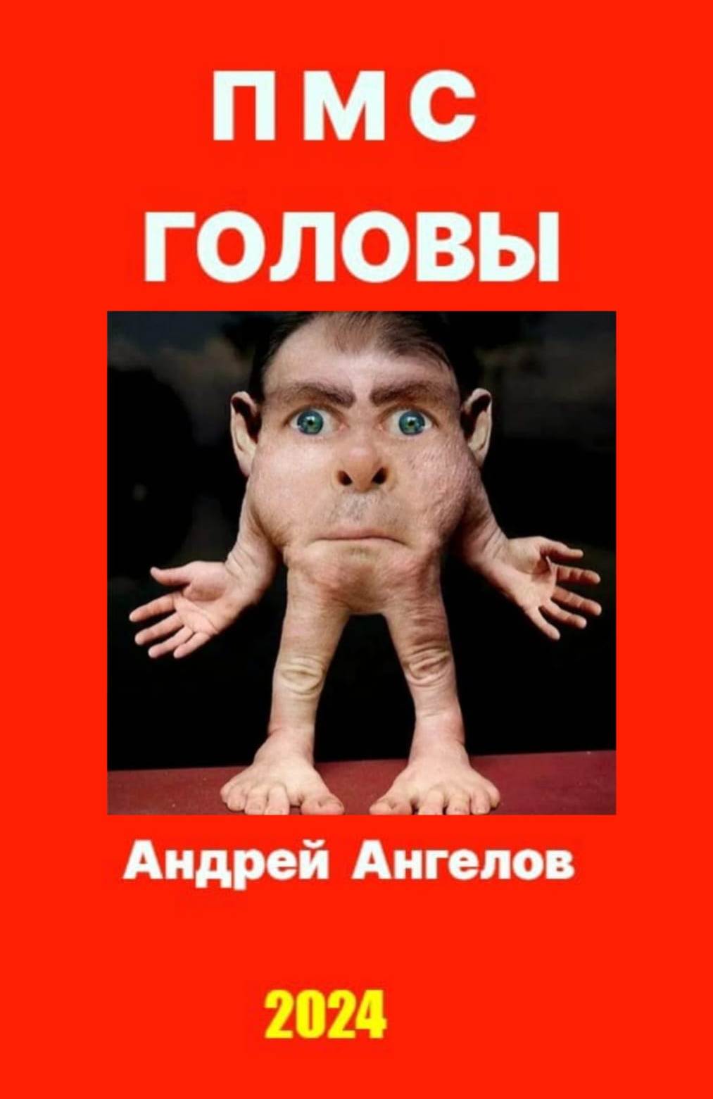 ПМС головы
