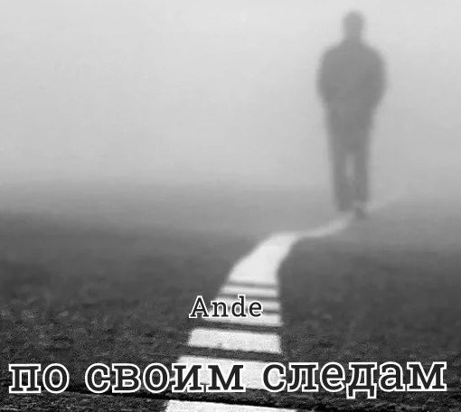 По своим следам (СИ)