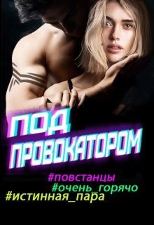 Под провокатором (СИ)